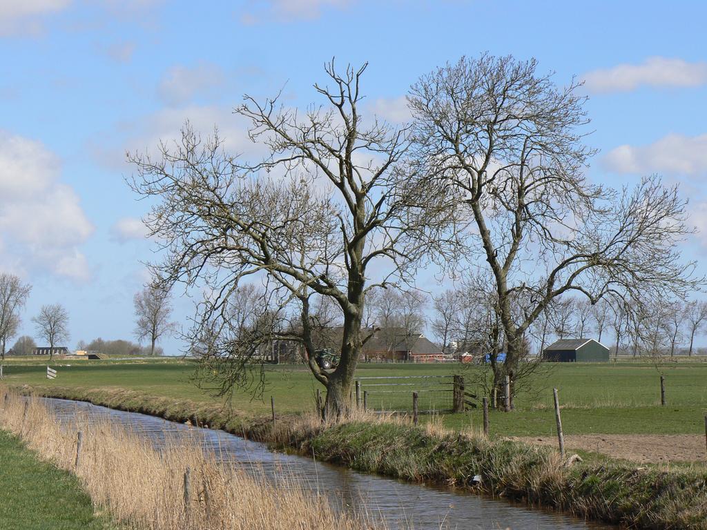 Groningen Buiten B&B Zuidhorn 外观 照片