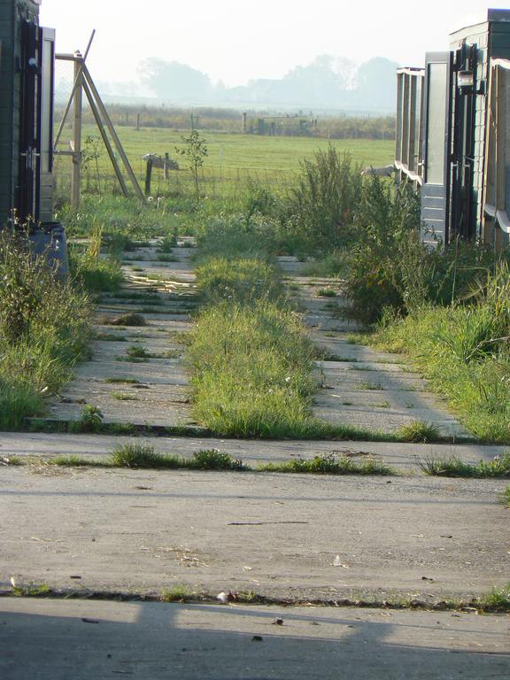 Groningen Buiten B&B Zuidhorn 外观 照片