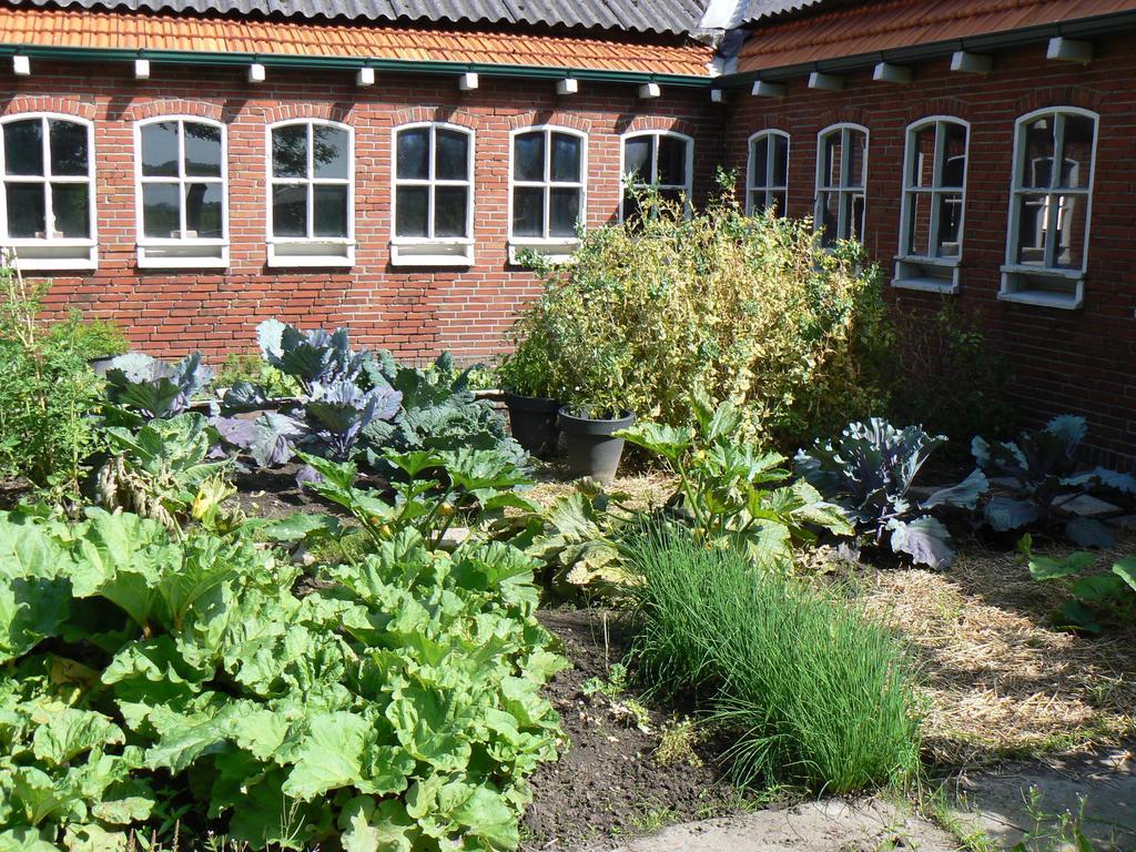 Groningen Buiten B&B Zuidhorn 外观 照片