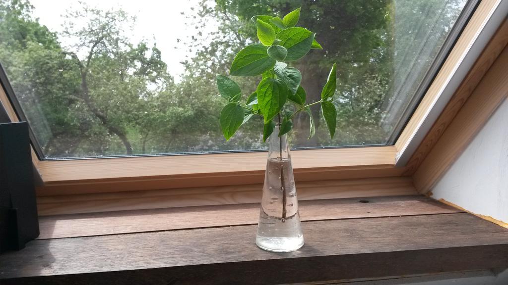 Groningen Buiten B&B Zuidhorn 外观 照片