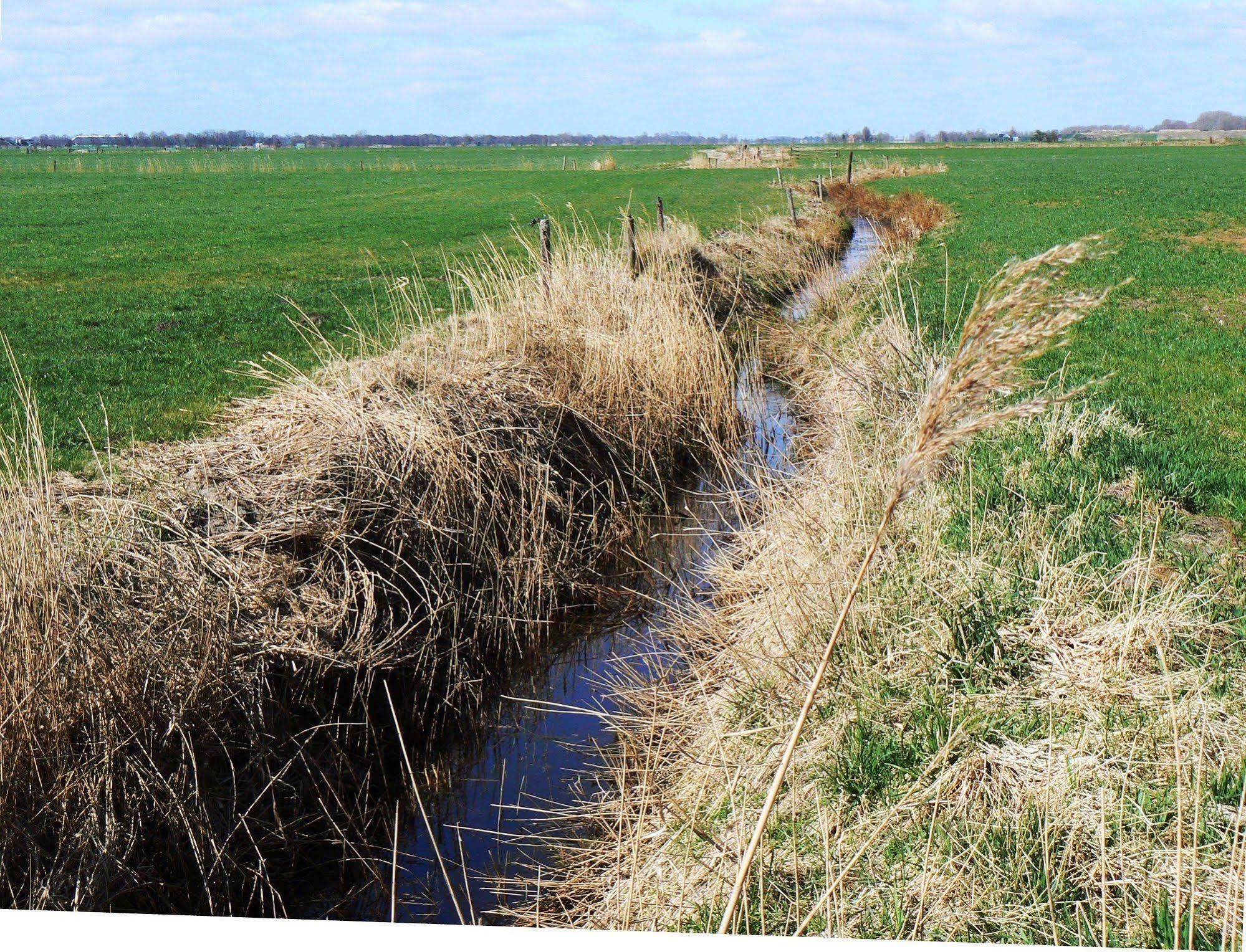 Groningen Buiten B&B Zuidhorn 外观 照片
