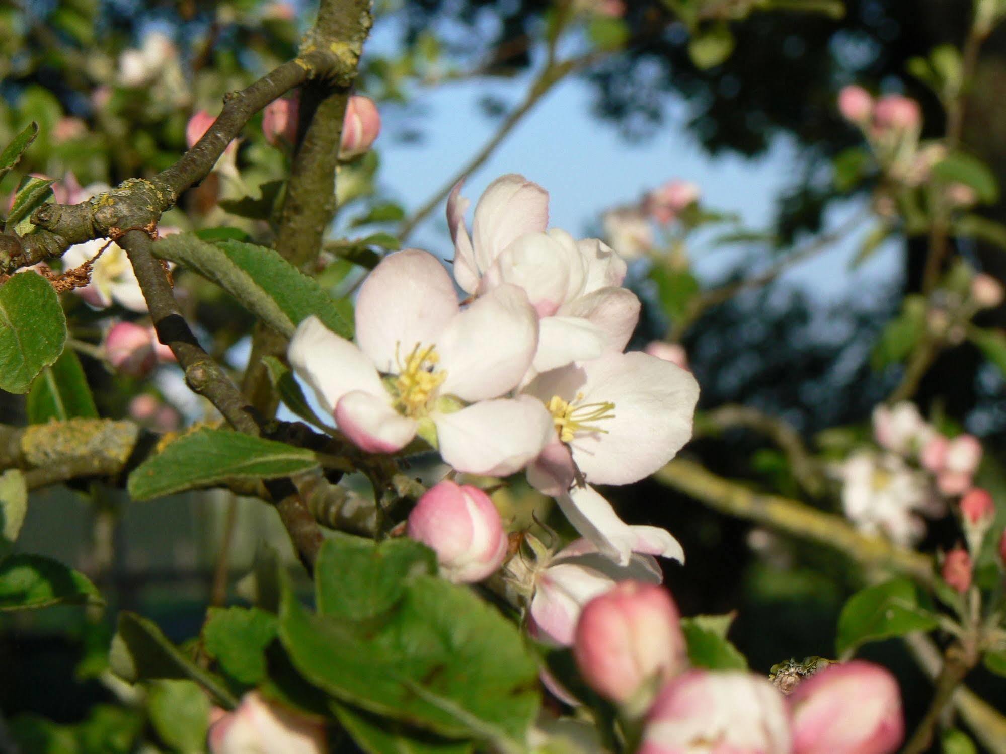 Groningen Buiten B&B Zuidhorn 外观 照片