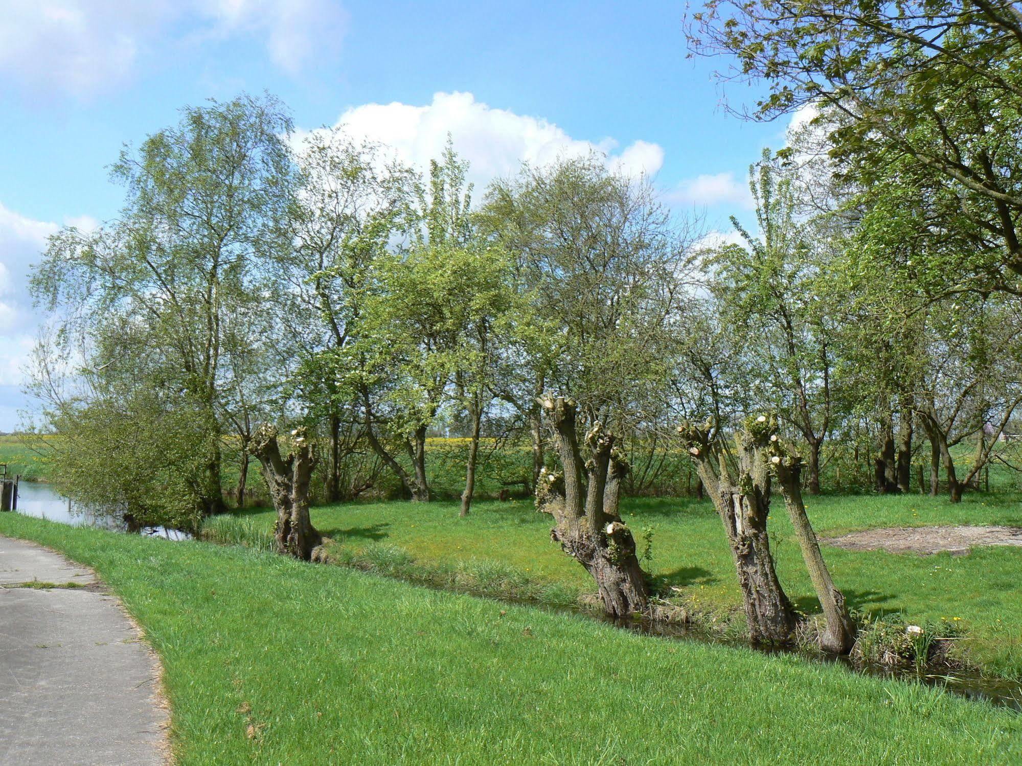 Groningen Buiten B&B Zuidhorn 外观 照片